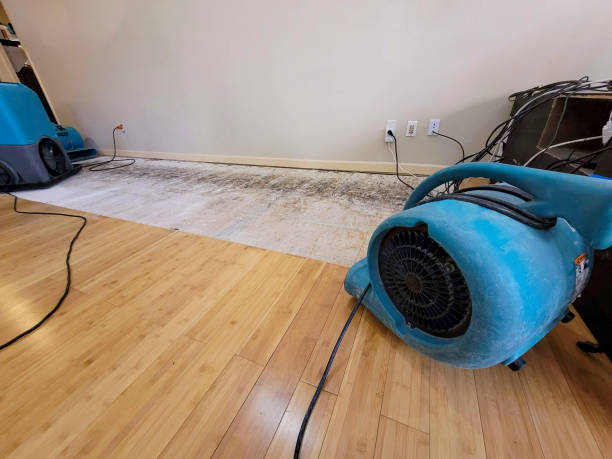 Professional Flood Damage Cleanup technician working in Omro, WI